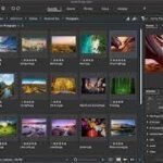 Adobe Bridge 2024 - Image 2